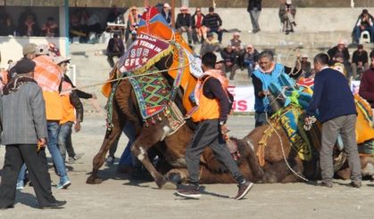 Pehlivan develer Ortaklar Arenası’nda buluştu